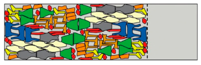 Immagine che contiene arte, cartone animato, disegno, clipart Descrizione generata automaticamente